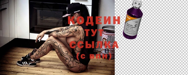амфетамин Белокуриха