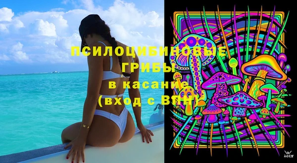 сатива Баксан