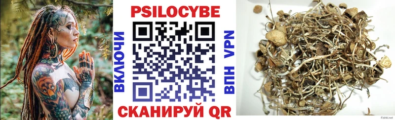 shop телеграм  продажа наркотиков  Котельнич  Галлюциногенные грибы Psilocybe  KRAKEN сайт 
