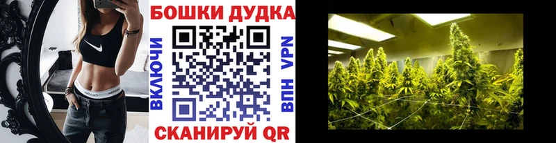 Бошки Шишки тримм  hydra ТОР  Котельнич  где найти наркотики 